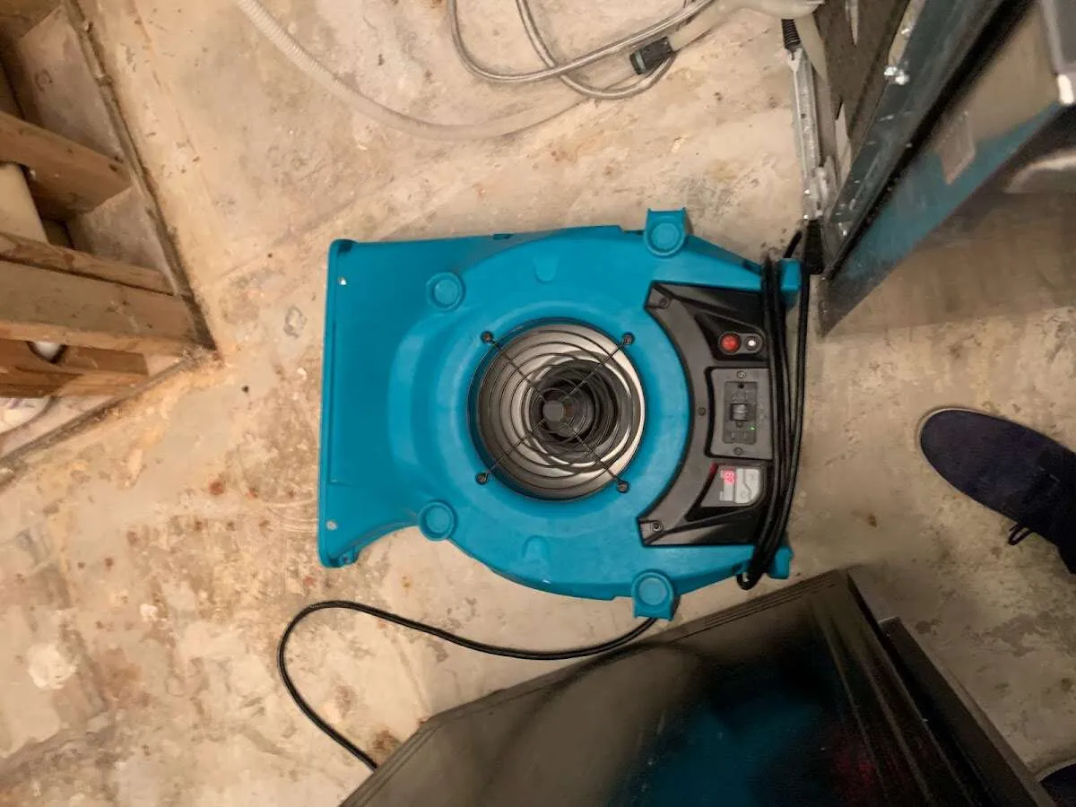 Air mover drying equipment for Mold Remediation & Removal in Springboro